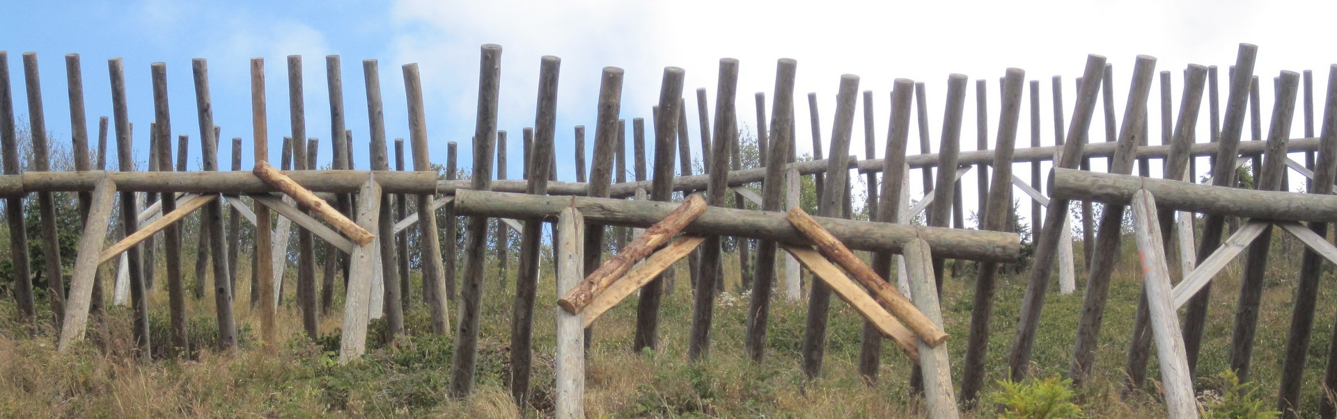 Paravalanghe in legno 