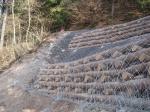 <b>Consolidamento con barre autoperforanti</b>