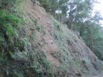 <b>Georeti con ancoraggi in barra normali</b>