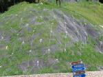 <b>Georeti per rinverdimento</b>