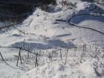 <b>Paravalanghe</b>