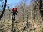 <b>Potatura alberi</b>