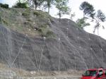 <b>Reti con ancoranti</b>