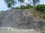 <b>Reti con ancoranti</b>